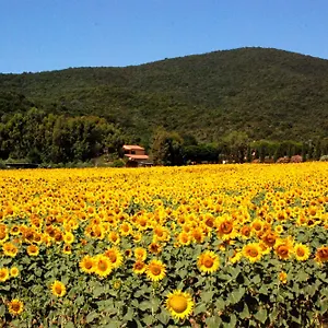 Agriturismo Valborgina , Castiglione della Pescaia Italia